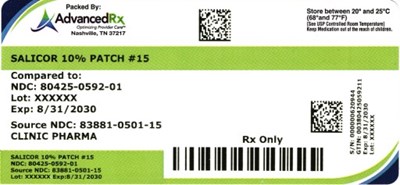 Salicor Patch # 15 (Salicor Patch 80425 0592)